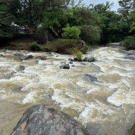 CVC entrega detalles sobre las constantes lluvias en el Valle del Cauca en temporada seca
