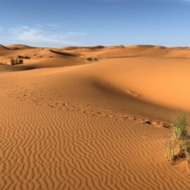 ¿Polvo del Sahara llegará a Colombia? Ideam explica su impacto en el país