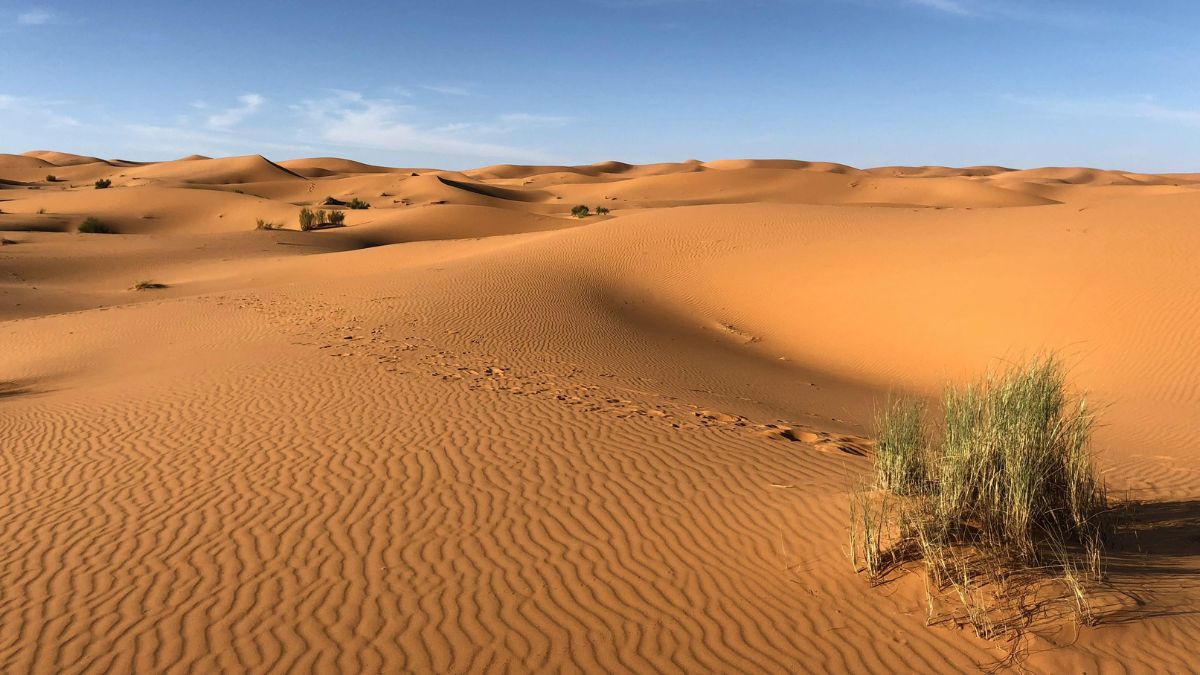 ¿Polvo del Sahara llegará a Colombia? Ideam explica su impacto en el país