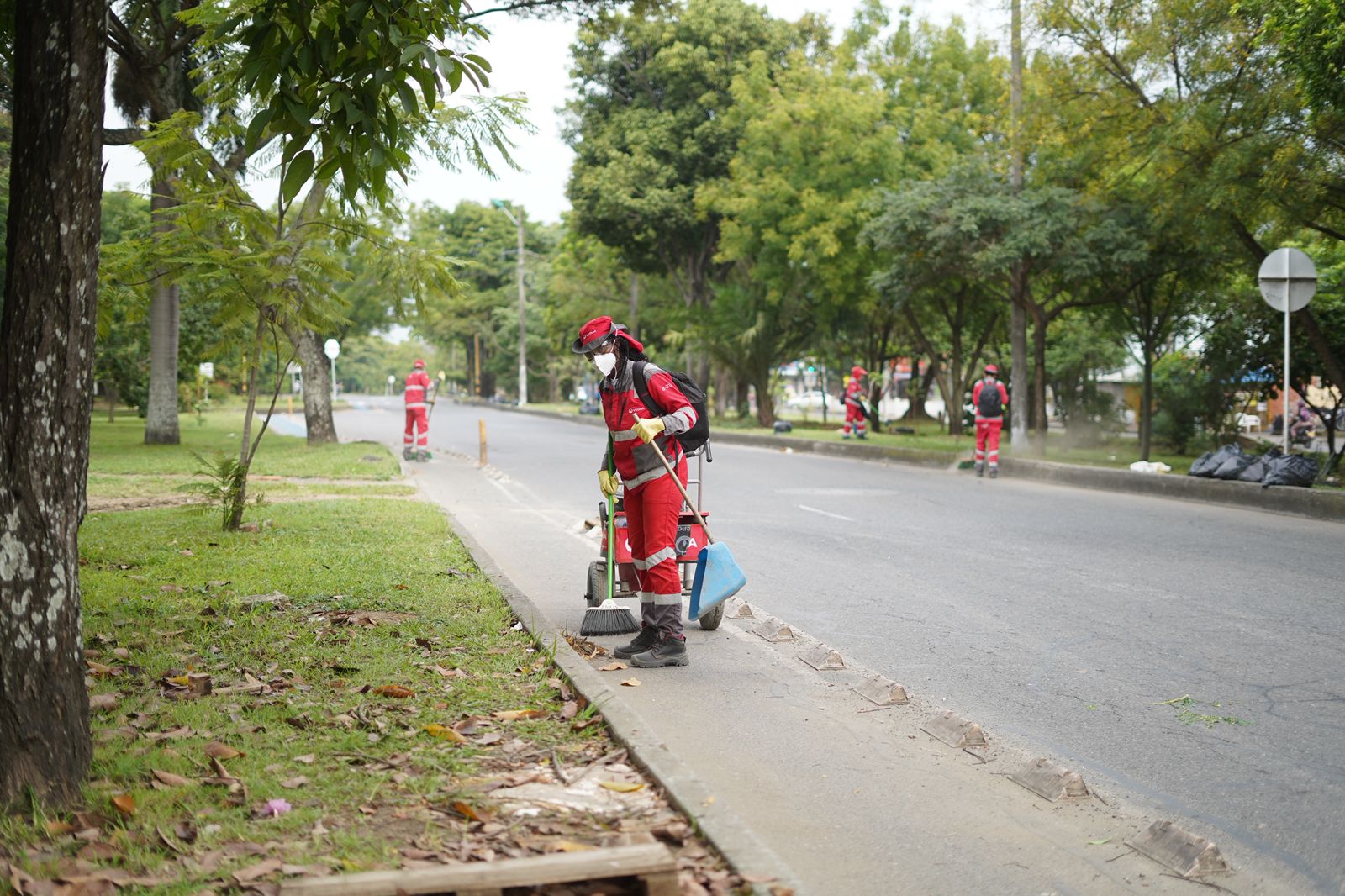 Recolección de basuras en Cali