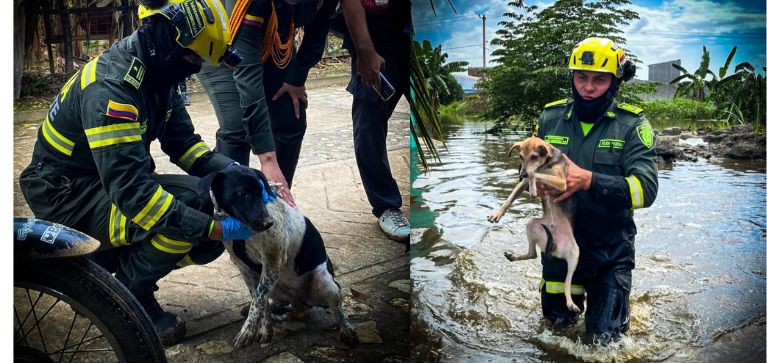 El Papa León XIV pidió prestar apoyo a Colombia tras las emergencias por inundaciones