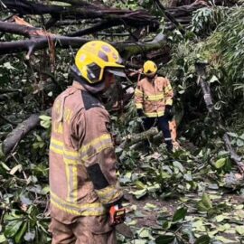 Autoridades entregan balance de emergencias tras lluvias y fuertes vientos en Cali