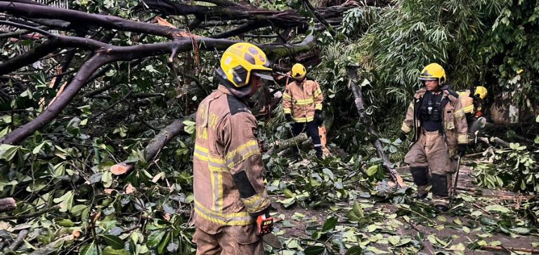 Autoridades entregan balance de emergencias tras lluvias y fuertes vientos en Cali