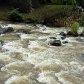 Seis municipios del Valle resultaron afectados por las lluvias; autoridades monitorean ríos