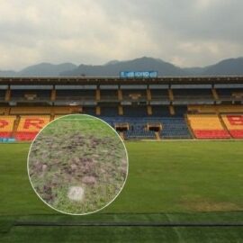 Críticas a la gramilla de 'El Campín' escalaron a Conmebol: ¿Se sancionaría el estadio?