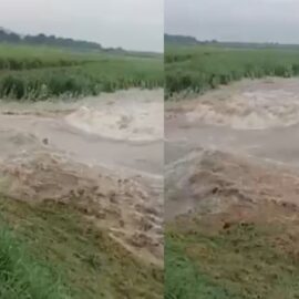 ¡Atención! Creciente del río Cauca provocó el rompimiento de jarillón entre Rozo y El Cerrito