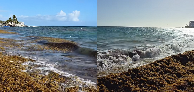 Alerta por nuevo frente frío que traerá lluvias intensas y mar de leva, ¿qué regiones serán afectadas?