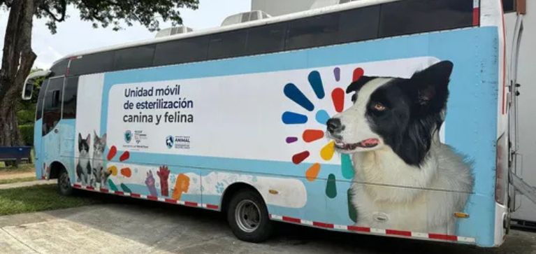 Yumbo será sede de nueva jornada de Bienestar Animal: conozca los servicios que se ofrecerán