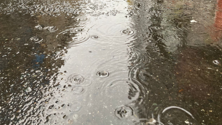 ¿Qué clima hará en el día y la noche de este jueves 16 de abril en Cali?