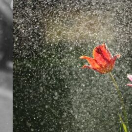 Pronóstico del clima para Cali hoy martes: ¿Lloverá?