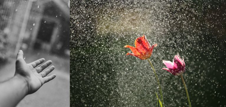 Pronóstico del clima para Cali hoy martes: ¿Lloverá?