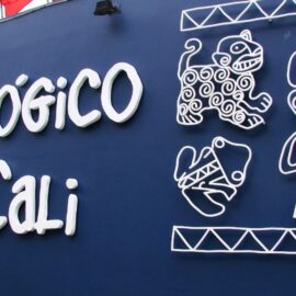 ¡Niños no pagan! Zoológico de Cali habilitará entrada gratuita; estas serían las fechas
