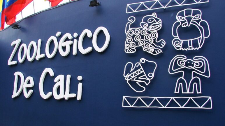 ¡Niños no pagan! Zoológico de Cali habilitará entrada gratuita; estas serían las fechas