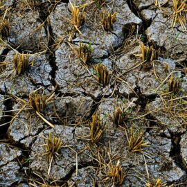 Valle del Cauca se prepara para fenómeno de 'El Niño' y sus efectos en el sector agropecuario