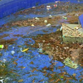 Tras denuncia de 90 Minutos, Alcaldía de Cali refuerza plan de recuperación de fuentes en la ciudad