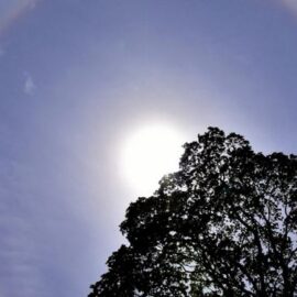 ¿Cuál es el pronóstico del clima para Cali hoy martes 14 de abril?