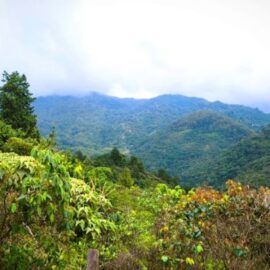 Refuerzan controles en los Farallones de Cali para frenar minería ilegal