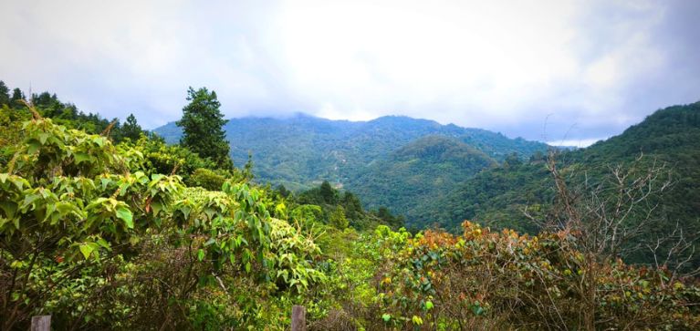 El 14 % de los colombianos podría sufrir hipertensión: autoridades del Valle lanzan alerta
