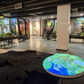 Entrada gratis a museos y sitios patrimoniales del Valle este fin de semana; conozca los horarios