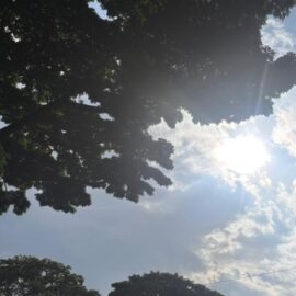 Este es el pronóstico del clima para Cali hoy jueves: ¿Qué tiempo hará?