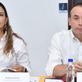 Consejo de Seguridad del AMSO prioriza acciones ante ataques con drones explosivos