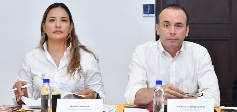 Consejo de Seguridad del AMSO prioriza acciones ante ataques con drones explosivos