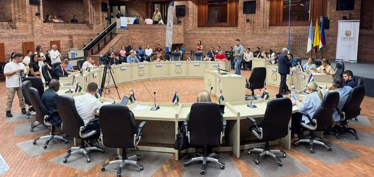 Captan por primera vez un tigrillo melánico en predios de conservación del Dagma