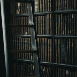 Cuatro autores marcan tendencia literaria en el primer semestre del año