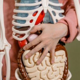 Experto explica la relación entre microbiota, salud y enfermedades crónicas