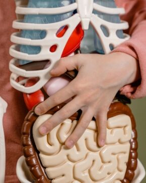 Experto explica la relación entre microbiota, salud y enfermedades crónicas
