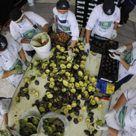 Este lugar preparó el guacamole más grande del mundo: más de 12 toneladas