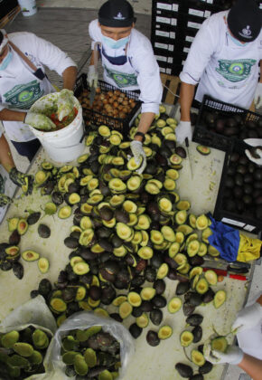 Este lugar preparó el guacamole más grande del mundo: más de 12 toneladas