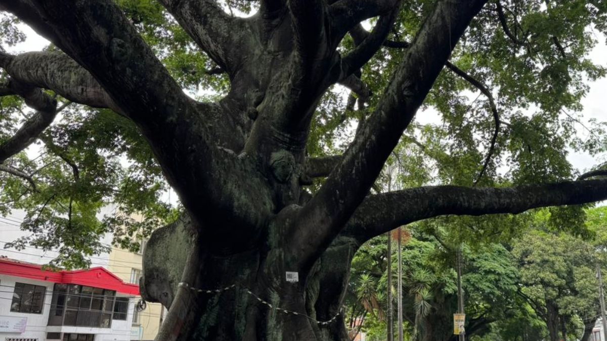 Pico y placa en Cali para este miércoles, 3 de junio: todas las restricciones de movilidad