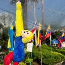 Así vivirá Cali el Mundial 2026: agenda, fan zones y actividades de entrada libre