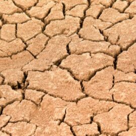 Gobierno confirmó fenómeno de El Niño anticipado; aumentan las probabilidades de sequías
