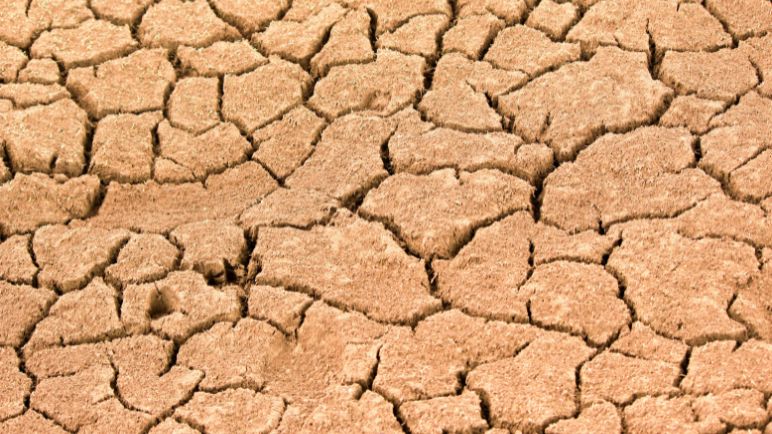 Gobierno confirmó fenómeno de El Niño anticipado; aumentan las probabilidades de sequías