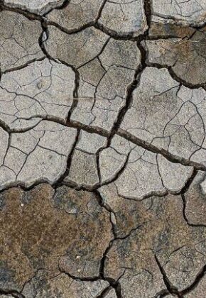 Cali se prepara para el fenómeno de El Niño; esto advierten las autoridades