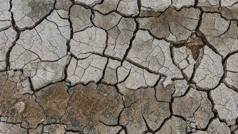 Cali se prepara para el fenómeno de El Niño; esto advierten las autoridades