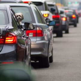 ¿Impuesto automotor sin sanciones? Conozca las placas de vehículos que tendrán plazo para pagar en junio