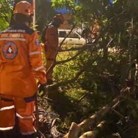Afectaciones por lluvias: en Cartago: reportan árboles caídos y cortes de luz