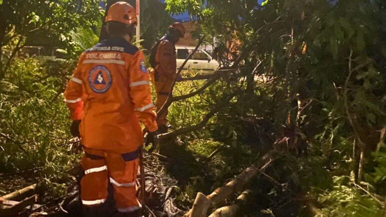 Afectaciones por lluvias: en Cartago: reportan árboles caídos y cortes de luz