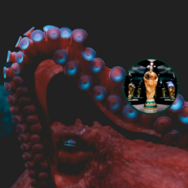 Recordando al Pulpo Paul: el animal que predecía quien ganaba en un Mundial