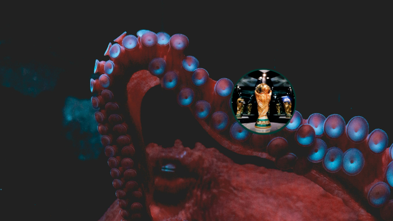 Recordando al Pulpo Paul: el animal que predecía quien ganaba en un Mundial