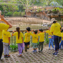 Vacaciones en el Zoológico de Cali, una aventura en manada: inscripciones abiertas