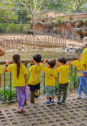 Vacaciones en el Zoológico de Cali, una aventura en manada: inscripciones abiertas