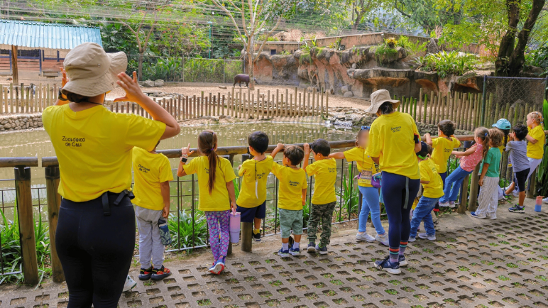 Vacaciones en el Zoológico de Cali, una aventura en manada: inscripciones abiertas
