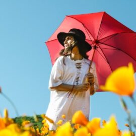 ¿Qué clima hará este lunes en Cali? autoridades alertas ante variables