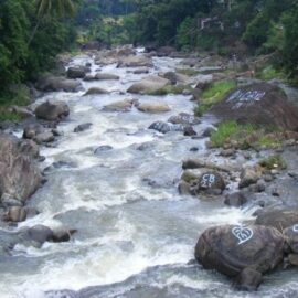 ¿Habrá desabastecimiento de agua en Cali y el Valle? Anuncian medidas ante fenómeno de El Niño