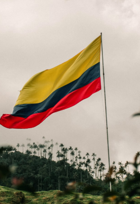 La Constitución soy yo: el libro de Mauricio Gaona que abre el debate sobre el futuro de la democracia en Colombia
