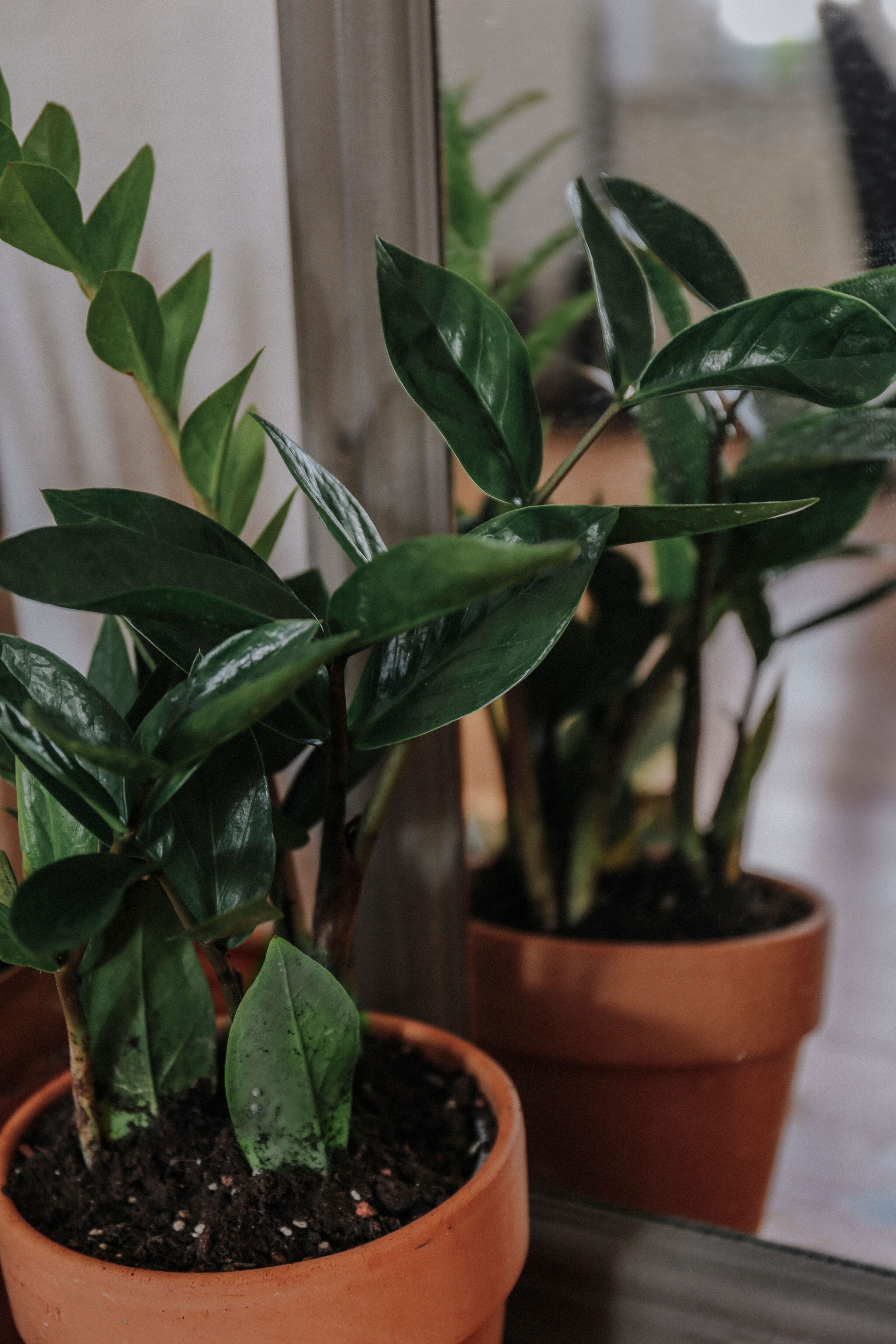 Tomada de: Pexels